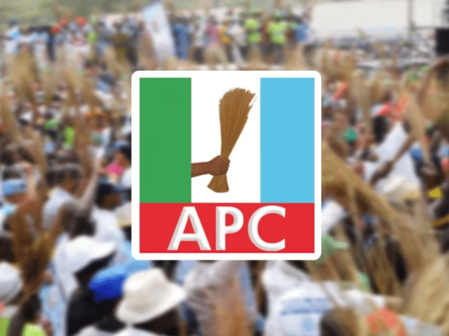 APC Flag