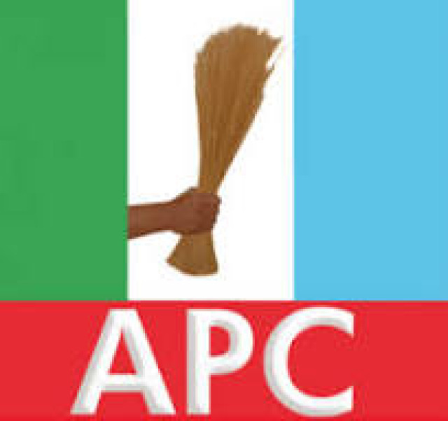 APC Flag