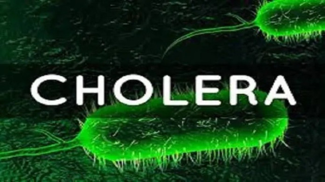 Cholera Outbreak