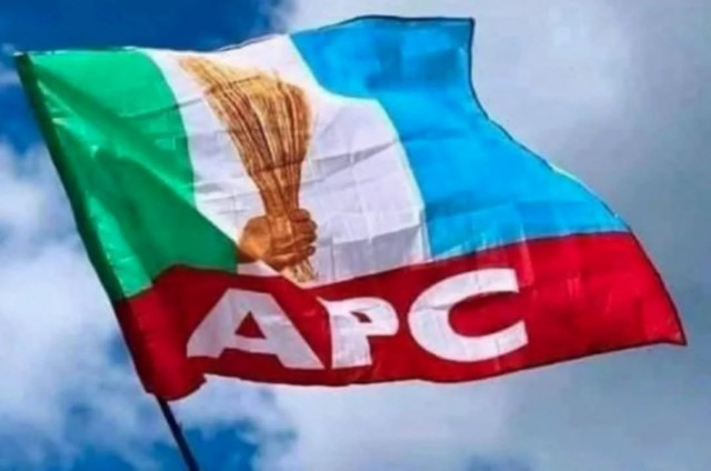 APC Flag