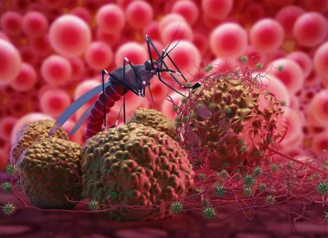 Malaria