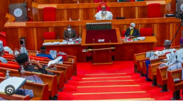Picture of Senate in session