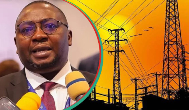 Photo of The Minister of Power, Adebayo Adelabu