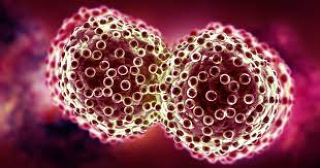 Cancer illustration