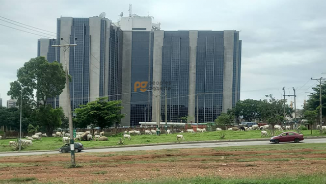 Central Bank of Nigeria(CBN)