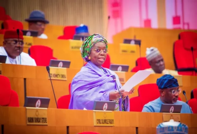 Dr. Idiat Adebule, a representative from the Lagos West senatorial district during plenary session