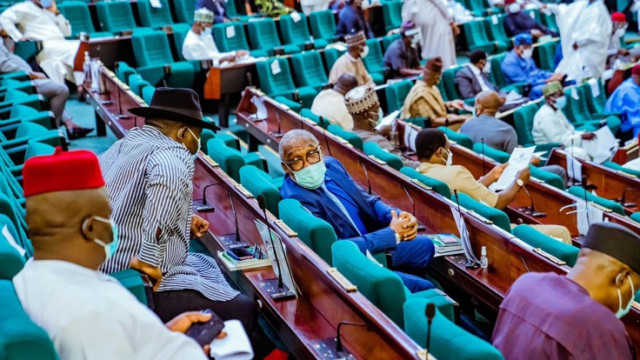 Reps in the plenary section