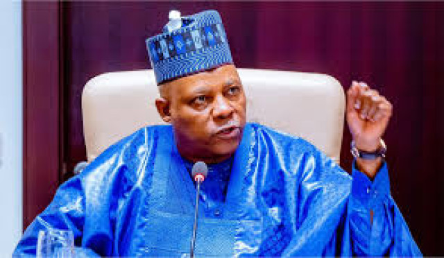 Vice President Kashim Shettima