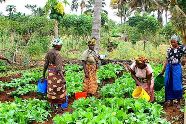 Women on  Farmland